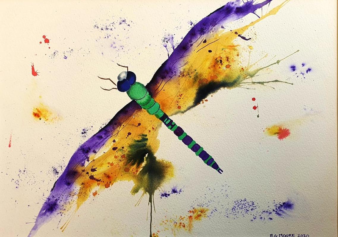arthur moore dragonfly 1 2020 0